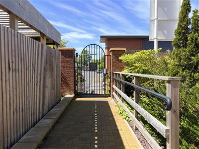 Picture 17